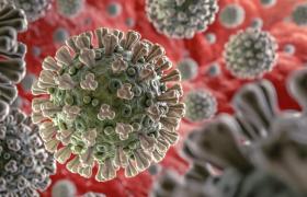 Understanding Research